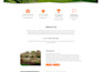 convert your figma or adobe xd design into a custom wordpress website